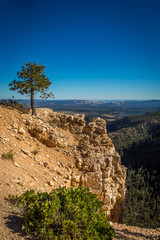Capitol Reef and Bryce Canyon