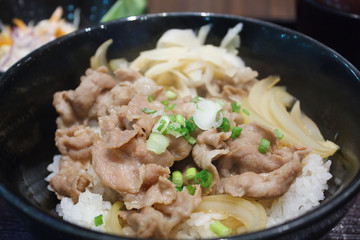 donburi, pork rice bowl, bowl of rice with food on top