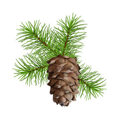 Christmas branch hanging pine cone