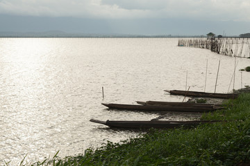 Paddle boats ashore