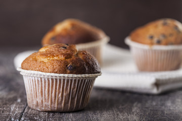 Chocolate muffin on a wooden background
