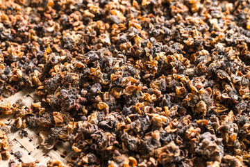 Dried tea flowers