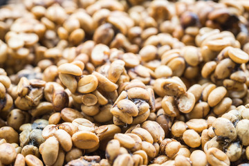 Kopi luwak coffee series