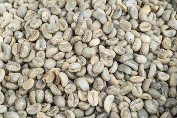 Kopi luwak coffee series