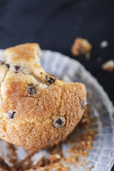 Chocolate muffin on a wooden background