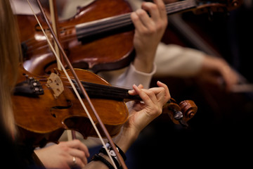 The hands of violinists in a Symphony orchestra