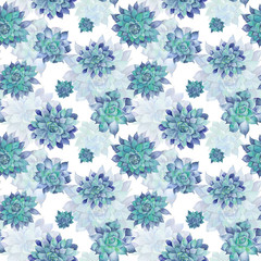 Blue Watercolor Succulent Pattern