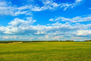 Fototapeta premium English Countryside Meadow