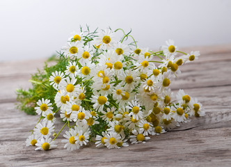 Obraz premium hamomile on wooden background