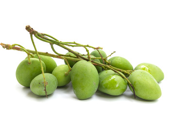 Green mango on white background