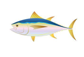 Illustration tuna fish