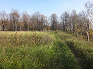 Obraz premium Поле с желтой травой в осенний солнечный день