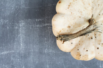 White pumpkin on a black chalkboard