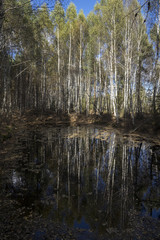 Осень. Лесное озеро.