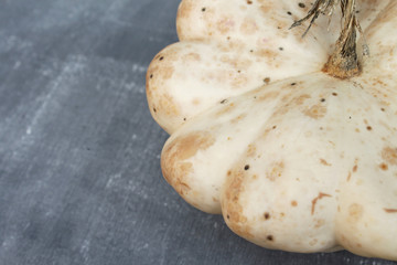White pumpkin on a black chalkboard