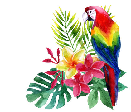Watercolor parrot with exotic flowers and leaves