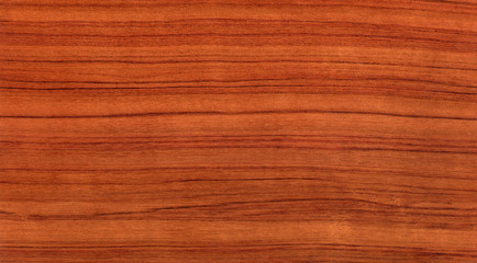 Obraz premium Wood texture with natural wood pattern