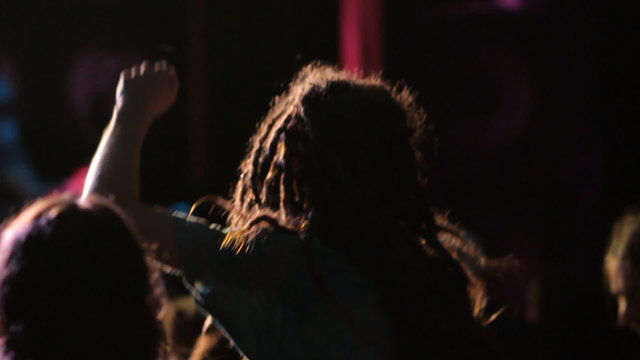 Guy with the dreadlocks at a rock concert