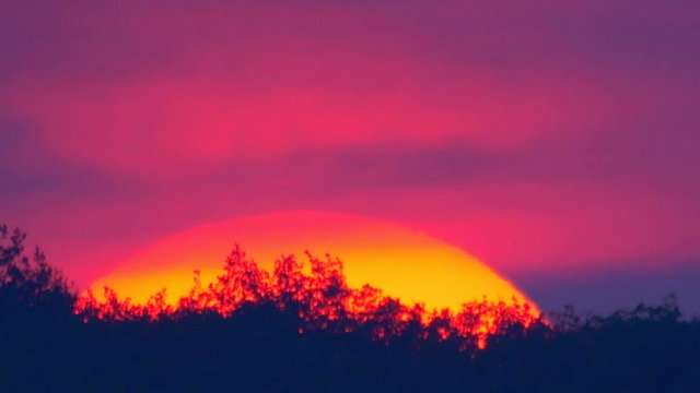 Picturesque red sunset with bright clouds, close up zoom view. BIRDS are seen