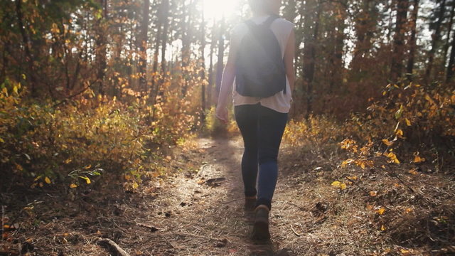 Young beautiful woman with a backpack walking in the autumn forest. Steadicam shot