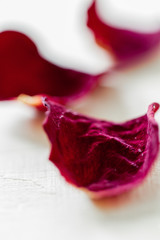 Dry Rose petals