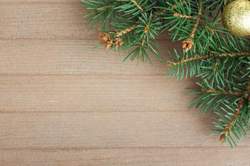 the branches and eating Christmas toy on a wooden background