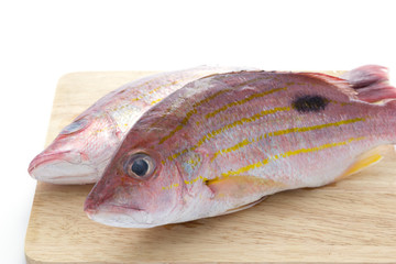 Fresh fish on cutting board