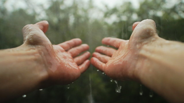 Hands In Rain. Hands get wet in the rain on a blurred background of trees