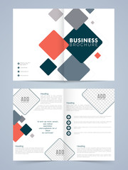 Two page Business Brochure or Template.
