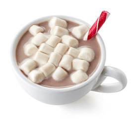 Cup of hot cocoa