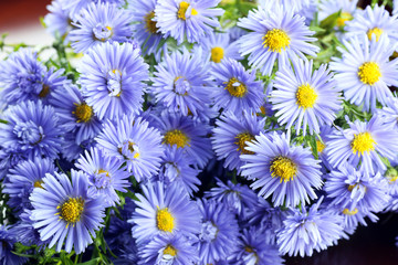 Fototapeta premium wild flowers bouquet rings