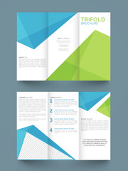 Fototapeta premium Stylish Business Trifold or Template.