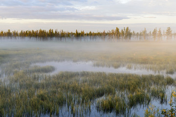 Scenic landscape of nature in Siberia - obrazy, fototapety, plakaty