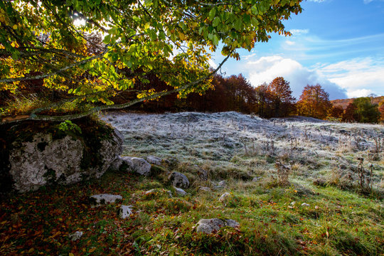 AUTUNNO E BRIMA IN MONTAGNA