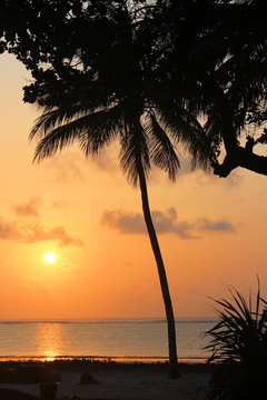 Sonnenaufgang am Diani Beach