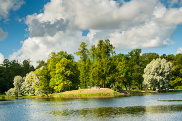 Beautiful russian landscape with willows