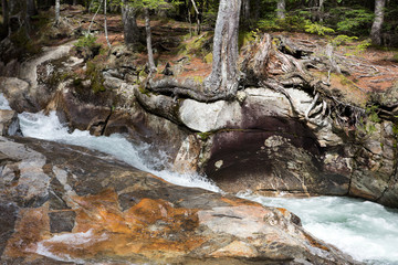 Fototapeta premium Autumn forest and water