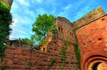 Burgruine Wildenberg