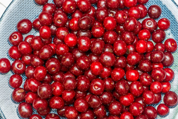 Background made of the cherries
