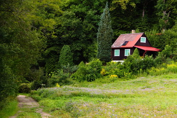 Fototapeta na wymiar Cottage by the forest