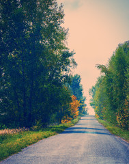 rural asphalt road