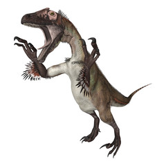 Fototapeta premium Dinosaur Utahraptor