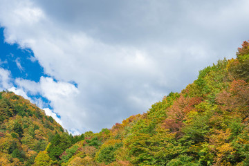 秋の山