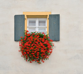 Gelb umrandetes Fenster mit Fensterladen und Blumenschmuck