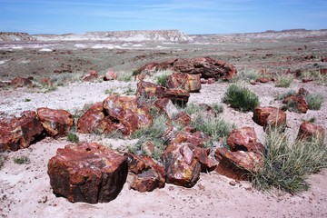 Petrified wood fossils in Petrified Forest National Park in Arizona, Route 66 USA