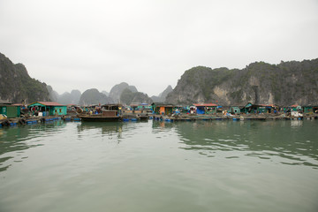 Traditional houses in water in Halong bay