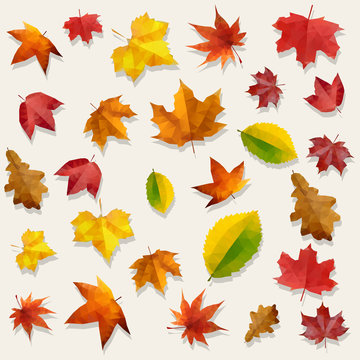Yellow Orange Red Flying Autumn Leaves Vector Background