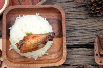 Fried chicken wings with sauce of delicious.