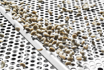 Obraz premium Kopi luwak coffee series : Coffee beans on sorter machine