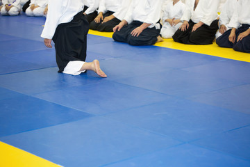 An Aikido instructor on martial arts seminar